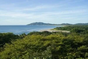 Discover Tamarindo: A Surf Paradise of Peace and Natural Beauty