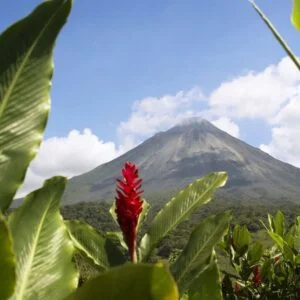 Discovering the Natural Wonders of Costa Rica
