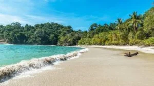 Premium Property Sale in Tamarindo Beach, Costa Rica